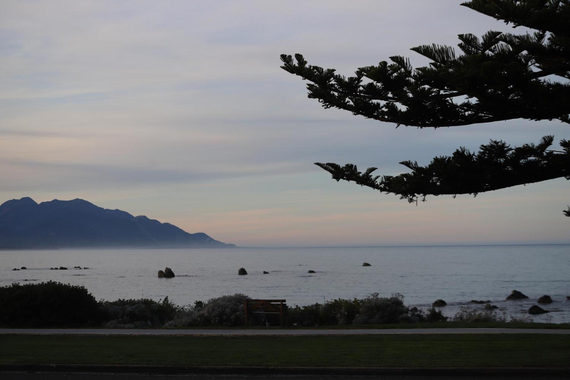 Sierra Beachfront Motel Kaikoura Exterior foto